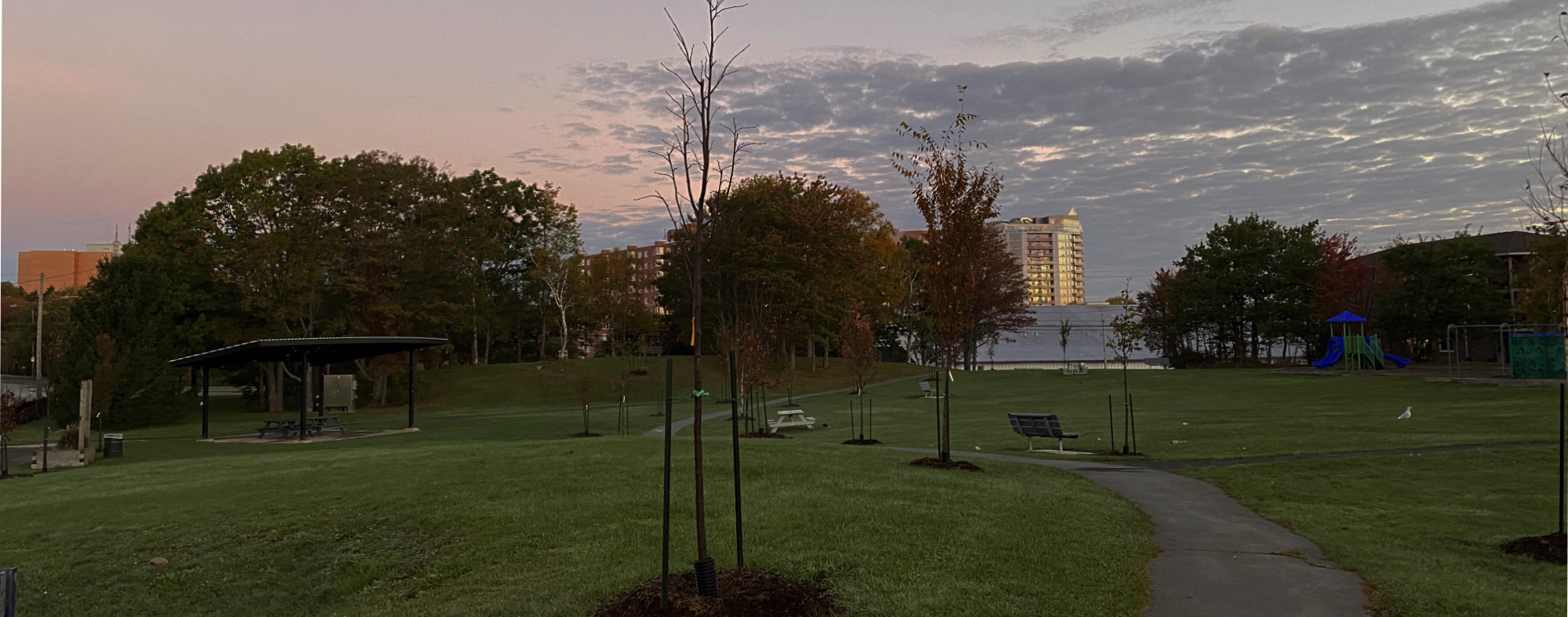 Fairview / Clayton Park Activities Halifax, NS Guide